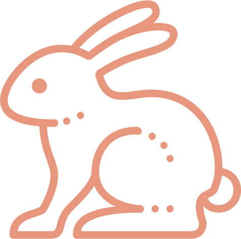 Cruelty-Free Products