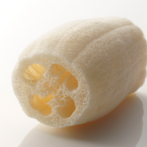 Natural Loofah